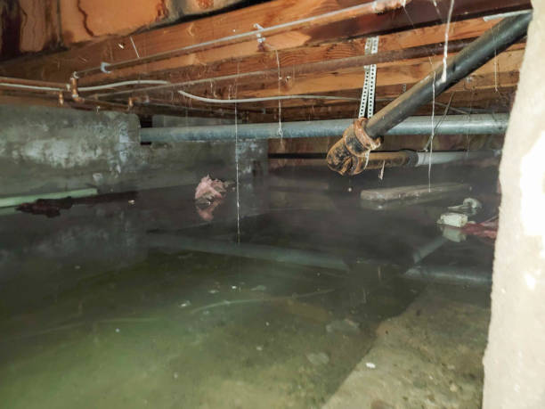 Best Residential water damage restoration  in Hobart, OK