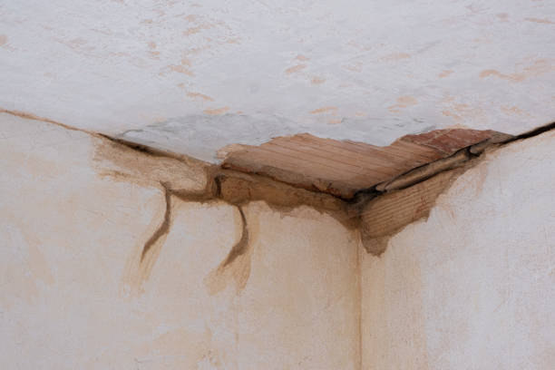 Best Mold removal after water damage  in Hobart, OK