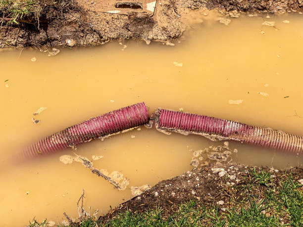 Best Basement water damage restoration  in Hobart, OK