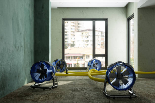 Best Carpet water damage restoration  in Hobart, OK